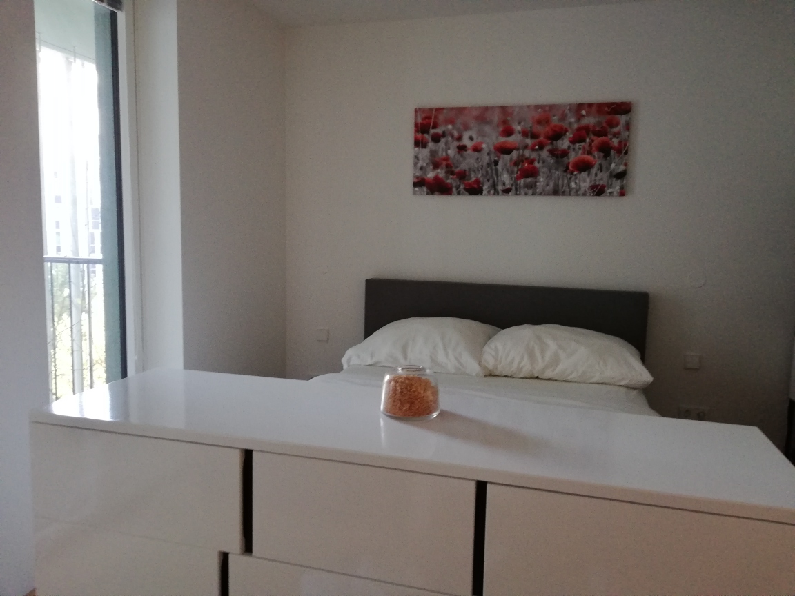 Modern apartment next to WU Wien and Prater in Vienna Studio apartment Kurzzeitmiete short